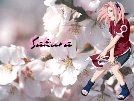 Sakura