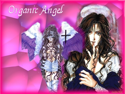 orgain angel