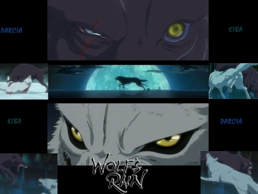 Wolf's Eyes