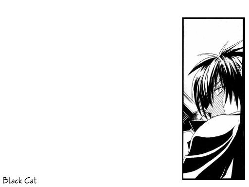 Black Cat