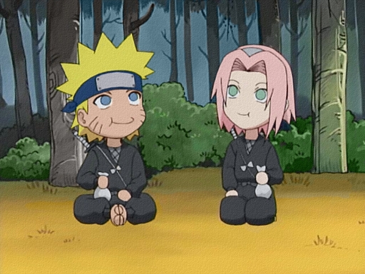 Naruto/sakura