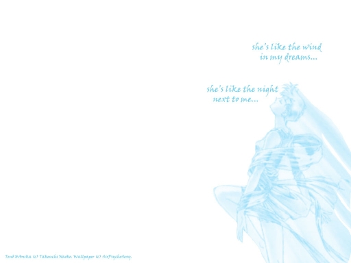 She's Like The Wind- Haruka