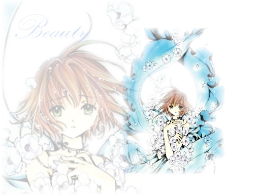 Sakura's Beauty