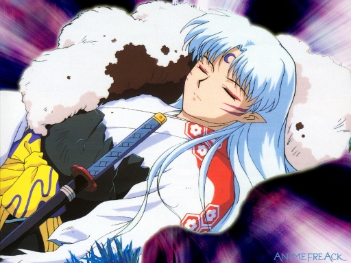 Sleeping Sesshomaru