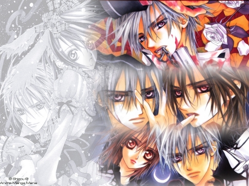 Vampire Knight