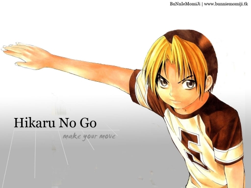 Hikaru No Go