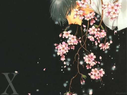 Sakura