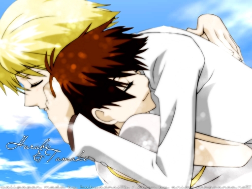 Love Haruhi & Tamaki