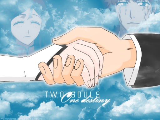 Two Souls, One Destiny