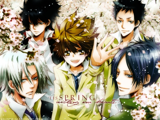 Spring withing our hearts