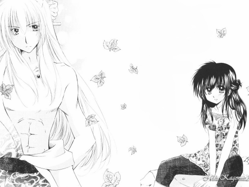 Inuyasha And Kagome