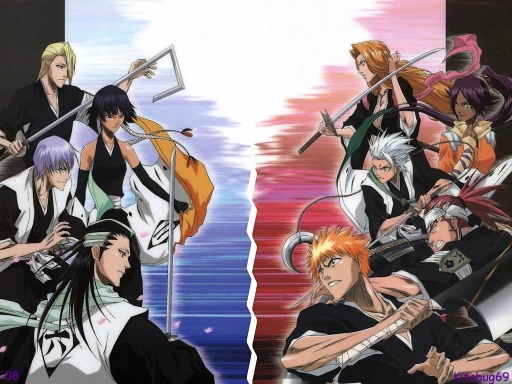 Bleach 173