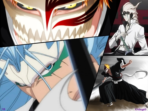 Bleach 238