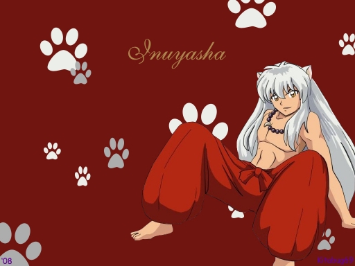 Inuyasha 494