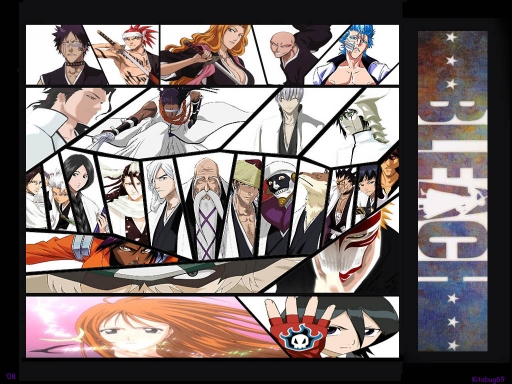 Bleach 99