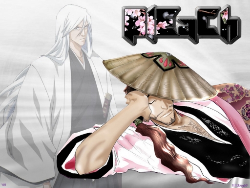 Bleach 317