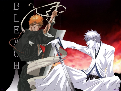 Bleach 339