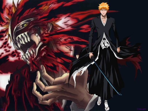 Bleach 355