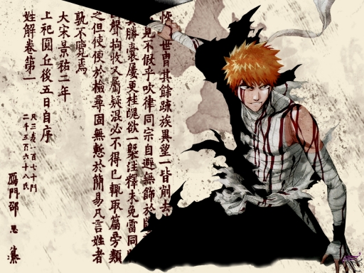Bleach 511