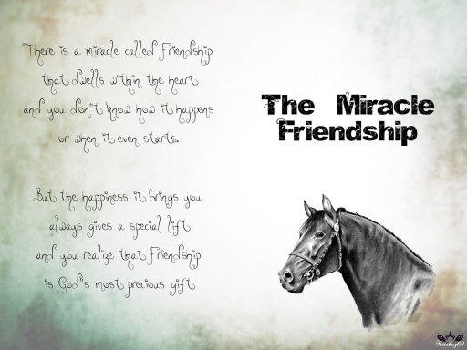 The Miracle Friendship