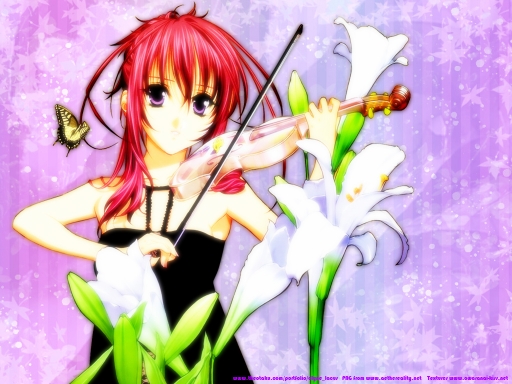 Lovely Violinist