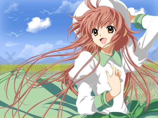 Enchanted Eternally (Kobato)