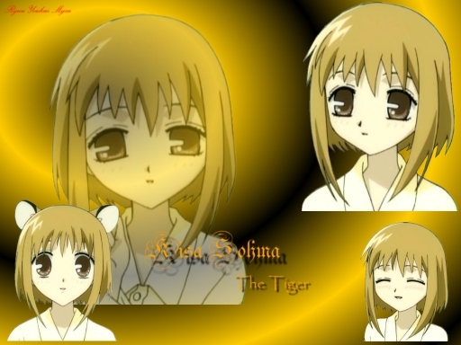 Kisa Sohma
