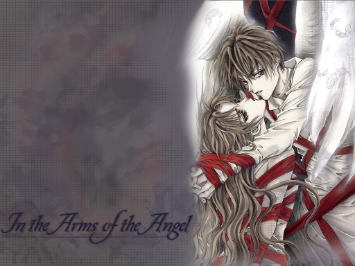 In The Arms Of The Angel