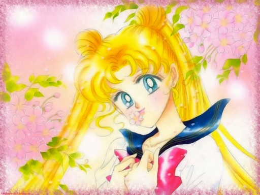 Sailor Moon