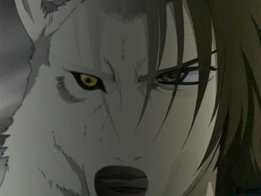 Wolf/human Kiba