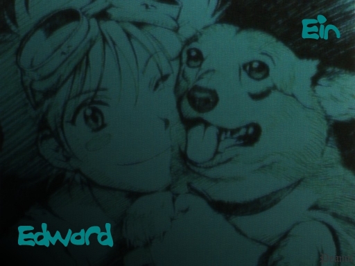 Ein And Ed