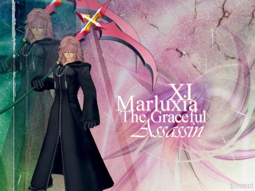 The Graceful Assassin