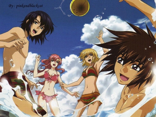 Gundam Seed Group