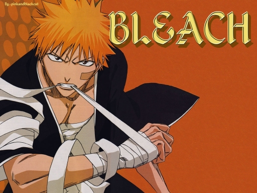 Bleach
