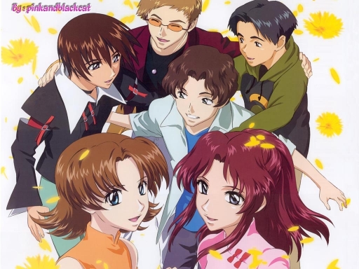Gundam Seed Group