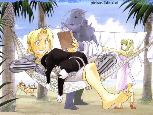 Full Metal Alchemist