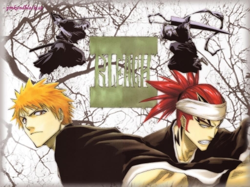 Bleach