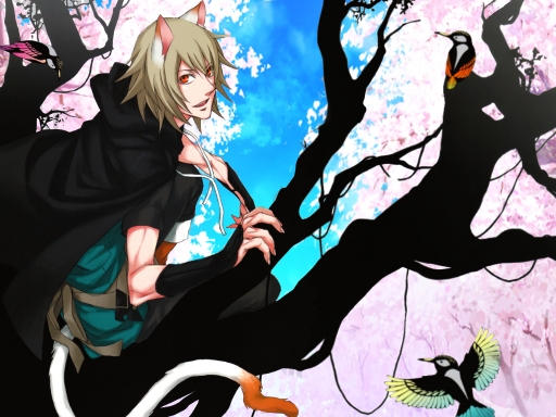 lamento beyond the void birds