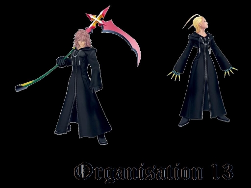 Organization 13 (1 Of 6)