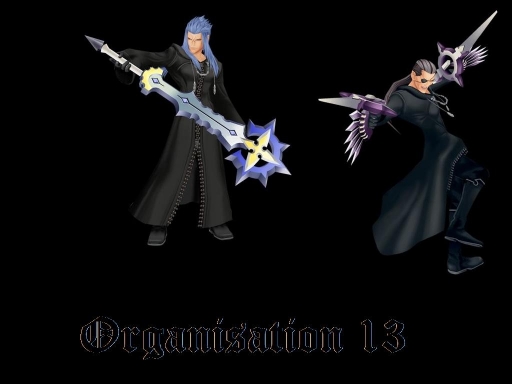 Organization 13 (2 Of 6)