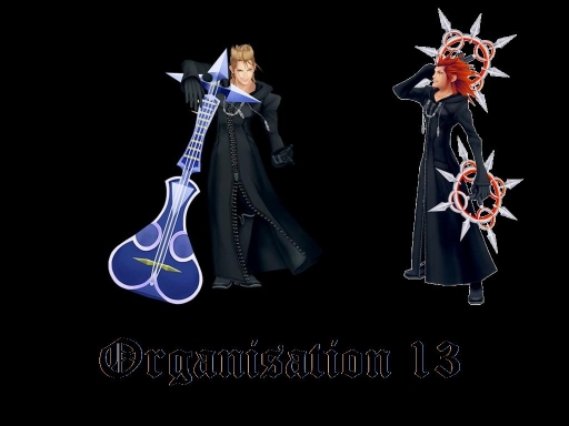 Organization 13 (3 Of 6)