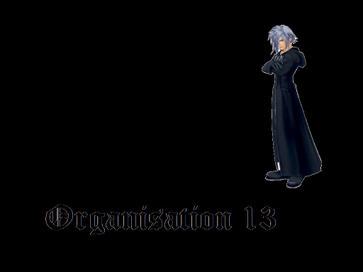 Organization 13 (4 Of 6)