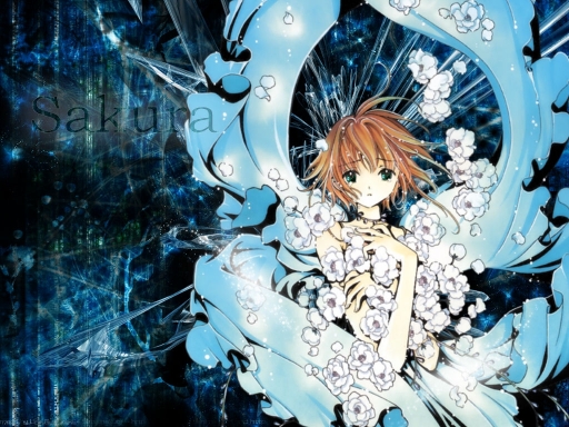 Sakura