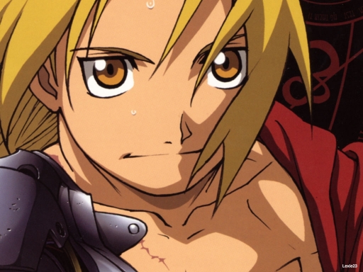 Fma_03