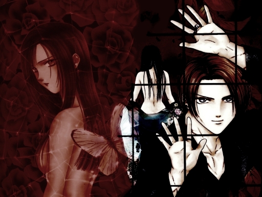 Spider W/ Butterfly Wings