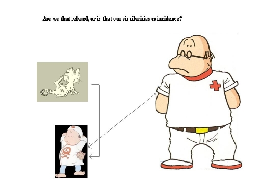 Doctor And Cat-similarity