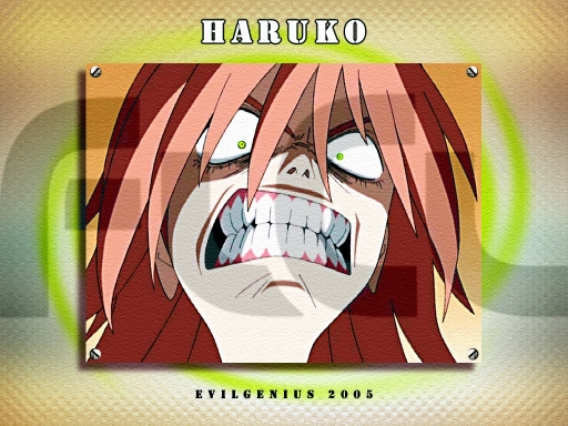 Haruko Grill
