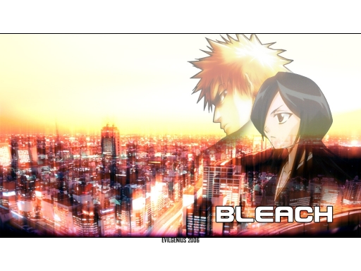 Bleach