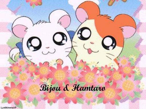 Hamtaro And Bijou