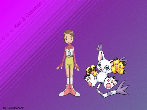 Kari And Gatomon